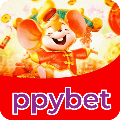 Interface ppybet